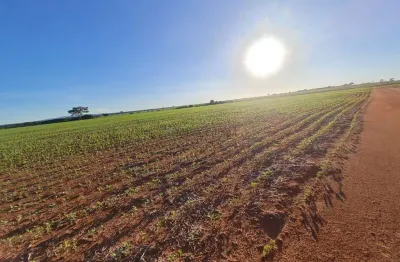 Fazenda à venda na área rural, cleuza, zona rural, anápolis, 950 m2 por r$ 250.000.000