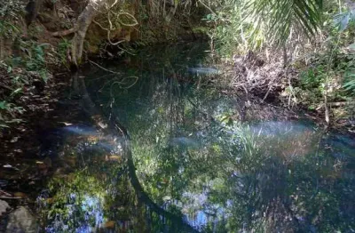 Chácara / sítio com 1 quarto à venda na Nossa Sra. do Livramento, s n, Zona Rural, Nossa Senhora do Livramento, 260000 m2 por R$ 210.000