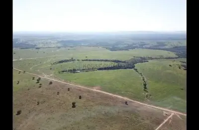 Negócio de oportunidade fazenda à venda porteira fechada com todos os maquinário