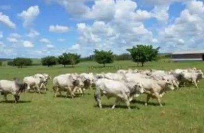 Fazenda à venda na Área Rural de Rondonópolis, Rondonópolis , 1000 m2 por R$ 120.000.000