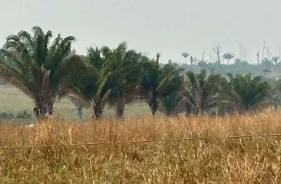 Fazenda à venda na Zona Rural, Brasnorte , 200 m2 por R$ 300.000.000