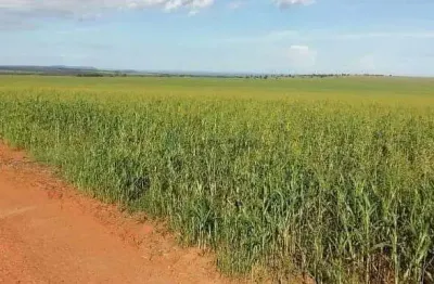 Fazenda à venda na Zona Rural, Itiquira , 580 m2 por R$ 160.000.000