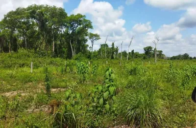 Fazenda à venda na Zona Rural, Poconé 