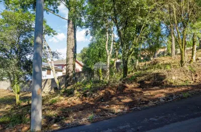 Terreno à venda na Rua da Floresta, S/N, Vila Petrópolis, Passo Fundo por R$ 149.000