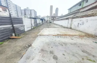 Terreno à venda ou para locação em campo grande - sp