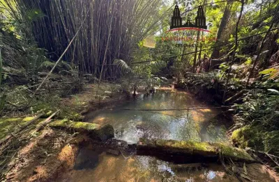 Chácara / sítio à venda na Usina, Antônio Carlos 