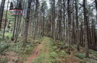 Chácara / sítio à venda no Rio Broecker, Anitápolis 