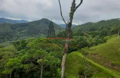 Chácara / sítio com 1 quarto à venda na Zona Rural, Antônio Carlos 