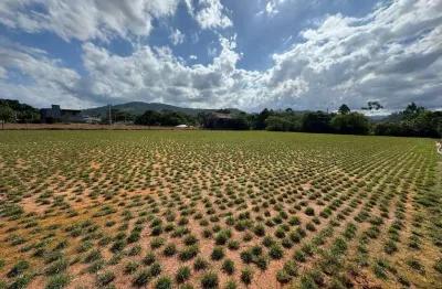 O espaço para o seu galpão está aqui! conheça esse terreno à venda no bairro santa catarina, biguaçu/sc.