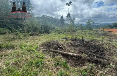 Sítio à venda, área rural de antônio carlos - antônio carlos/sc