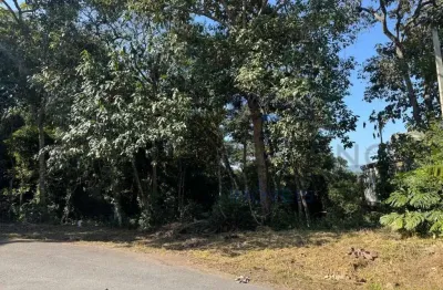 Lindo terreno no condomínio eco park - 430m² cercado por reserva florestal