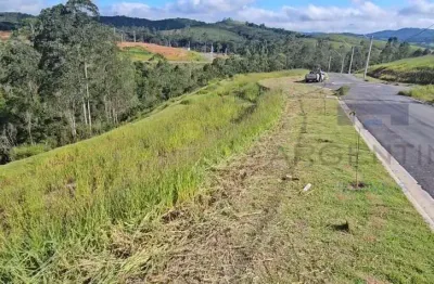 Excelente terreno de fundo para a mata no mosaico horizontes