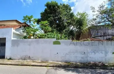 Lindo terreno na frederico straube - vila oliveira  (possibilidade comercial)