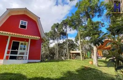 Chácara / sítio com 3 quartos à venda na estrada dos palmitos, avenquinha, campo alegre por r$ 2.900.000