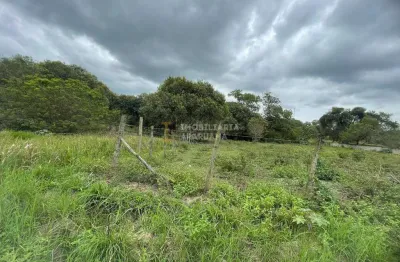 Terreno amplo com 4.000m² em marro grande – a apenas 300m da rodovia!