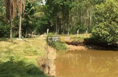 Lindo sítio com 3 imóveis, lago, piscina e muito verde – oportunidade única!