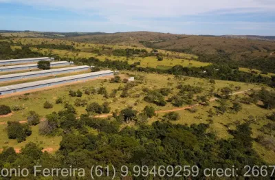 Fazenda com 2 salas à venda na Zona Rural, Cocalzinho de Goiás 