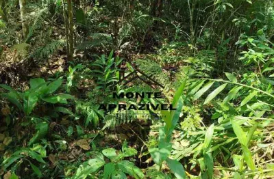 Terreno à venda no Quarta Divisão, Ribeirão Pires 