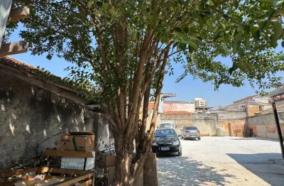 Terreno à venda na casa verde média - 286 m² próximo a av. braz leme