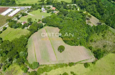 Área residencial/industrial 50.536m² – campo largo da roseira - são josé dos pinhais