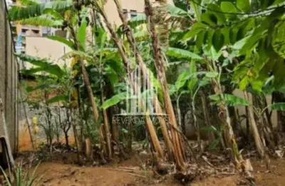 Terreno à venda em santana, são paulo-sp: 430m² de oportunidade única!