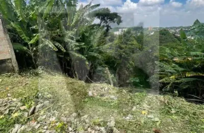 Terreno à venda na Rua Tomaz De Brito, Jardim Virgínia Bianca, São Paulo