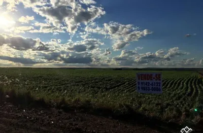 Chácara / sítio à venda na estrada romeira, gleba ribeirão atlantique, maringá, 10 m2 por r$ 600.000