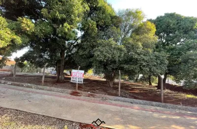Oportunidade imperdível: terreno espetacular à venda!