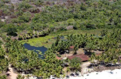 Oportunidade única para investidores! fazenda pé na areia
