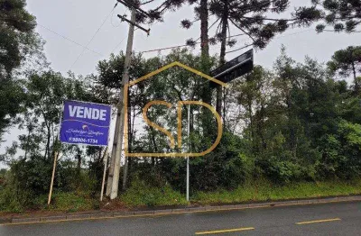 Ótimo investimento - área com 5 alqueires , à venda em são josé dos pinhais, costeira