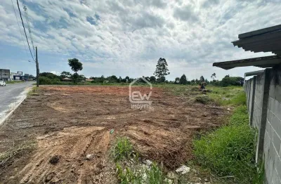 Terreno comercial à venda na Rua Aurora Leoni, 12, Barranco Das Areias Pequenas, Araquari