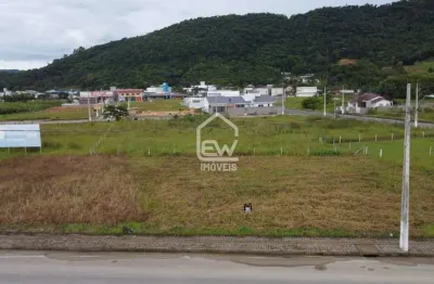 Terreno à venda na Rua, 360, Centro, Massaranduba