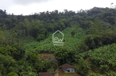 Sítio com plantação de bananas com área total de 61.400m² em jaraguá do sul, sc
