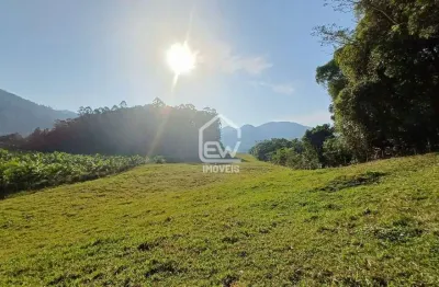 Terreno comercial à venda na Rua, 00879, Divinéia, Rio dos Cedros