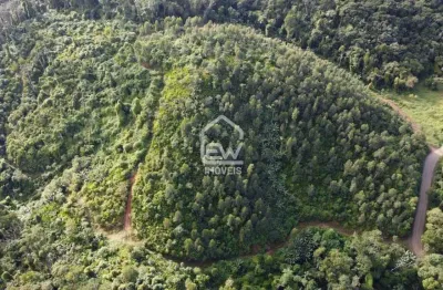 Chácara / sítio com 1 quarto à venda na Rua, 1107, Braço do Norte, Massaranduba