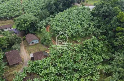 Sítio com plantação de bananas com área total de 61.400m² em jaraguá do sul, sc