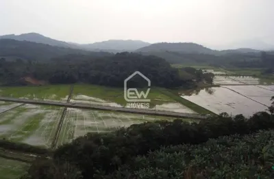 Terreno comercial à venda na Rua, 587, Centro, Massaranduba