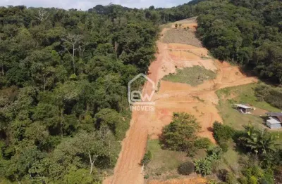 Terreno comercial à venda na Rua, 369, Ilha da Figueira, Guaramirim