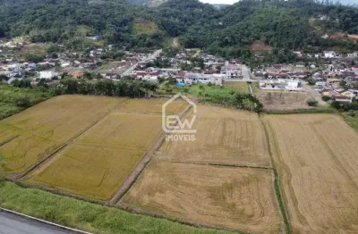 Terreno comercial à venda na Rua, 460, Centro, Schroeder