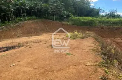 Terreno à venda na Rua, 597, Amizade, Guaramirim