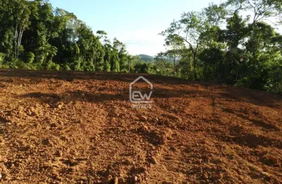 Terreno à venda na Rua, 9687, Centro, Massaranduba