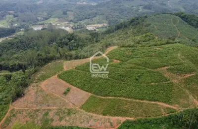Terreno ideal para cultivo com 175.000m² em massaranduba, sc