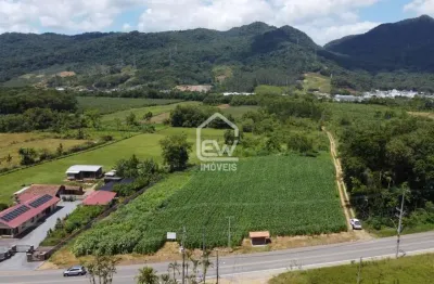 Terreno comercial à venda no Centro, Schroeder 