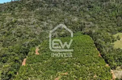 Terreno Rural com Área Total de 78.507m² em Massaranduba, SC