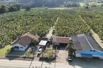 Chácara / sítio com 5 quartos à venda no Centro, Schroeder 