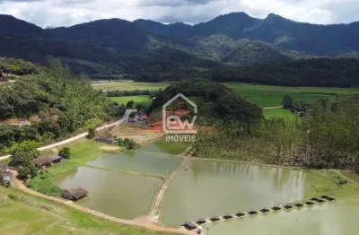 Chácara / sítio com 1 quarto à venda no Pomeranos, Rio dos Cedros 