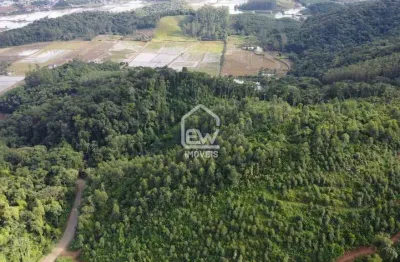 Chácara / sítio com 1 quarto à venda no Braço do Norte, Massaranduba 