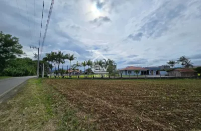Terreno à venda na Escolinha, Guaramirim 