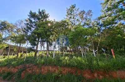 Terreno à venda na Rua Maria Guiomar De Souza, Zona Rural, Embu-Guaçu