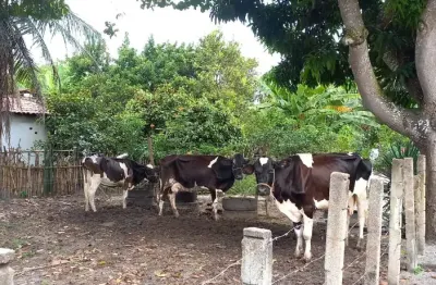 Fazendinha 10ha a 3 km ce040. com muito pasto, baías, cercadas,estábulo